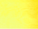 Żorżeta żółta słoneczna - resztka 2m