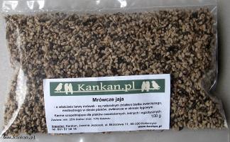 Mrówcze jaja - naturalne białko dla ptaków - 100g