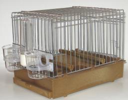 Klatka wystawowa dla kanarków śpiewających 