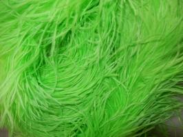 0025 - Strusie piora - jasno zielony - odcinek 5 cm