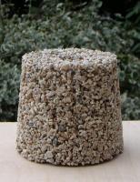 250P - dla dużych papug